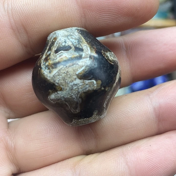 你家没有的东西我有