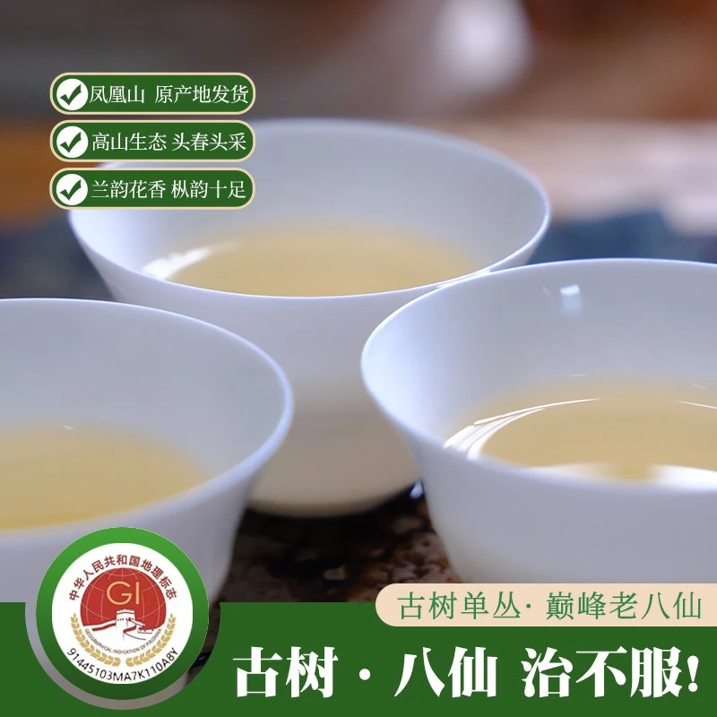 【凤凰山发货】潮州凤凰单丛茶 正宗古树单丛老八仙 传统炭焙春茶