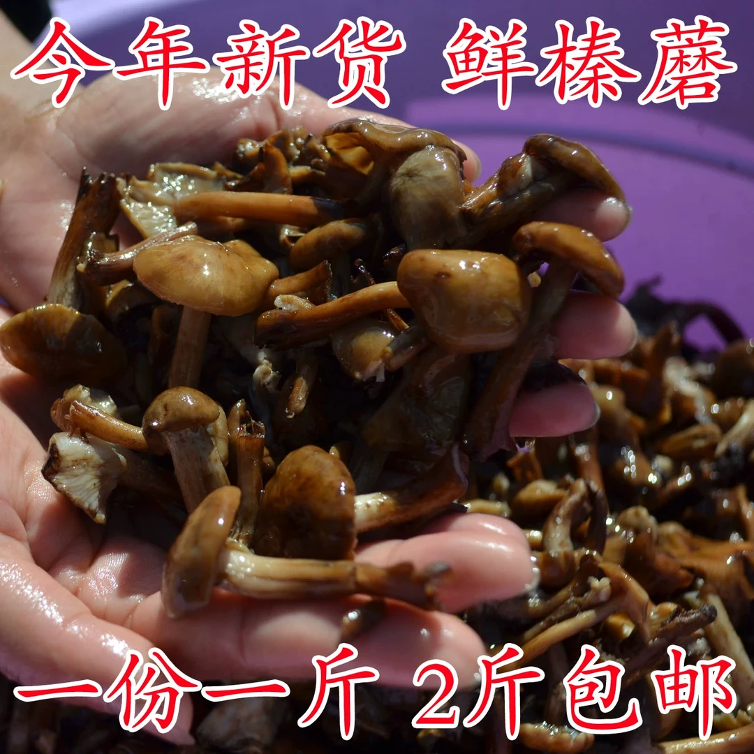 大兴安岭野生榛蘑丁咸蘑菇东北特产包邮今年新货新鲜榛蘑炖小鸡