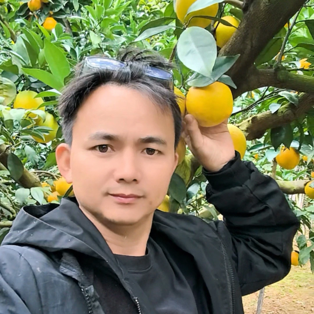 赣南安远脐橙果农现摘现发应季水果食用新鲜香甜水分多汁包邮快递