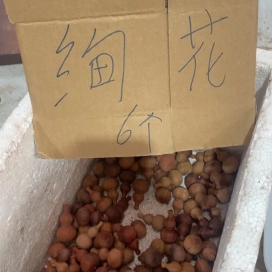 非洲紫檀（红花梨）り***海