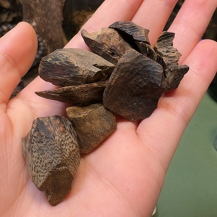 沉香碎屑沉香海南高端紫棋大树丁老香15.6克