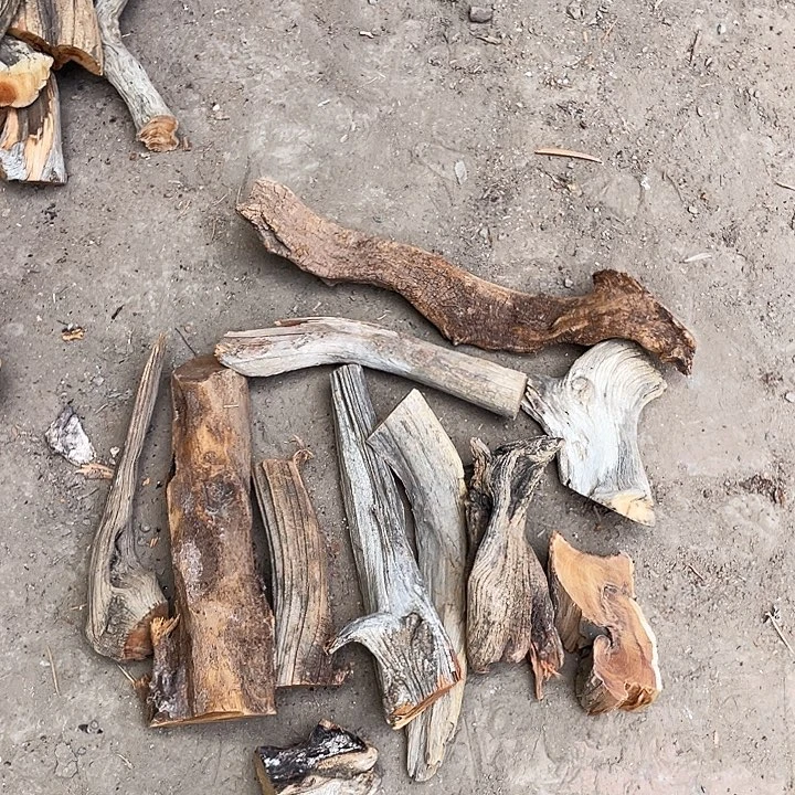 柏木木**翠崖柏雅吧崖柏崖柏