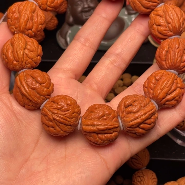 木质非金属24霸王龙