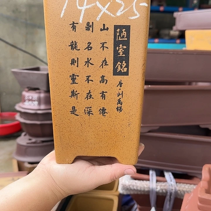 紫砂花盆这是我第一