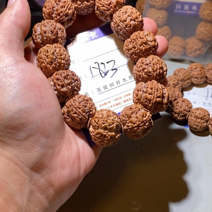 手串金刚菩提1823号尺寸24梅花