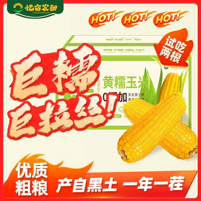 【试吃两根】忆亩农甜东北黑土地黄糯玉米单根260g-360g独立包装