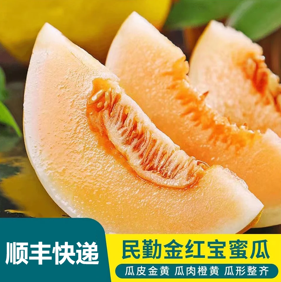 【顺丰直达】甘肃民勤沙漠新鲜金红宝黄河蜜瓜4-9斤坏果包赔