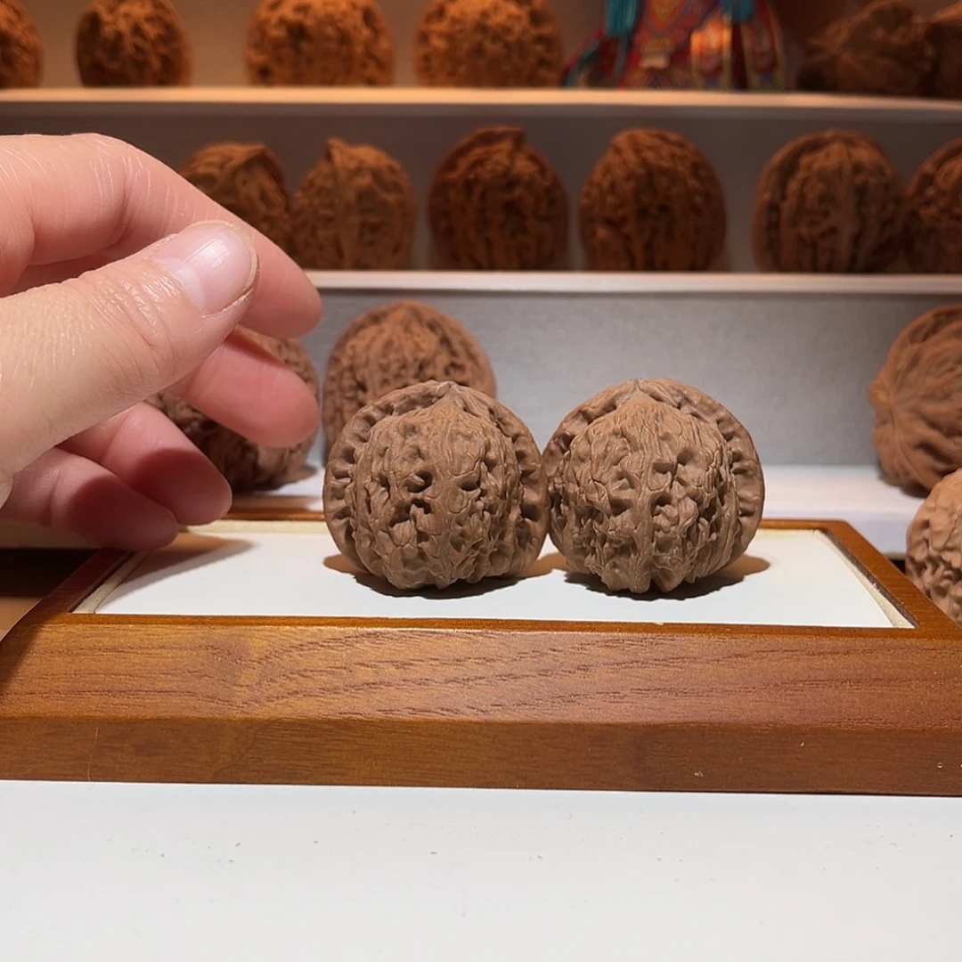 39全品三角白狮子……骨质超好