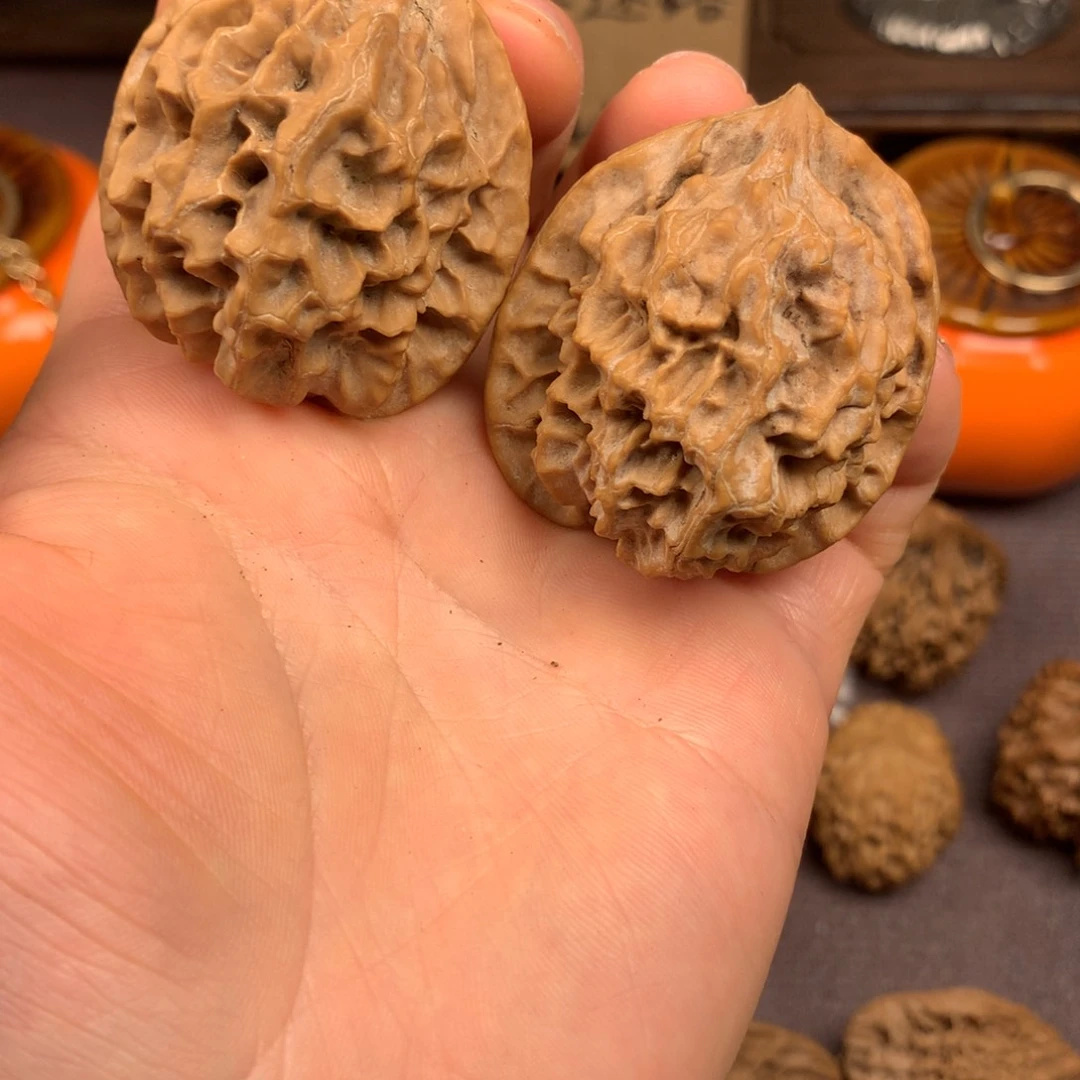 秦岭山脉和秦岭山区东部