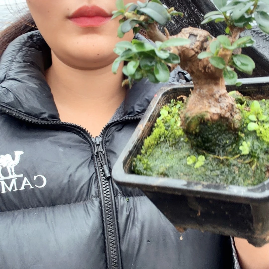 第***页无花朵哈哈今年能解决