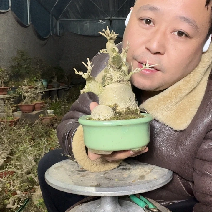 完全开放塑料袋和各种规格塑料