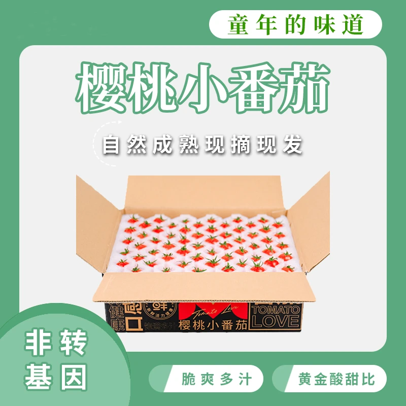 串收樱桃小番茄单粒礼盒三斤装现摘现发顺丰包邮坏了包赔1.5公斤