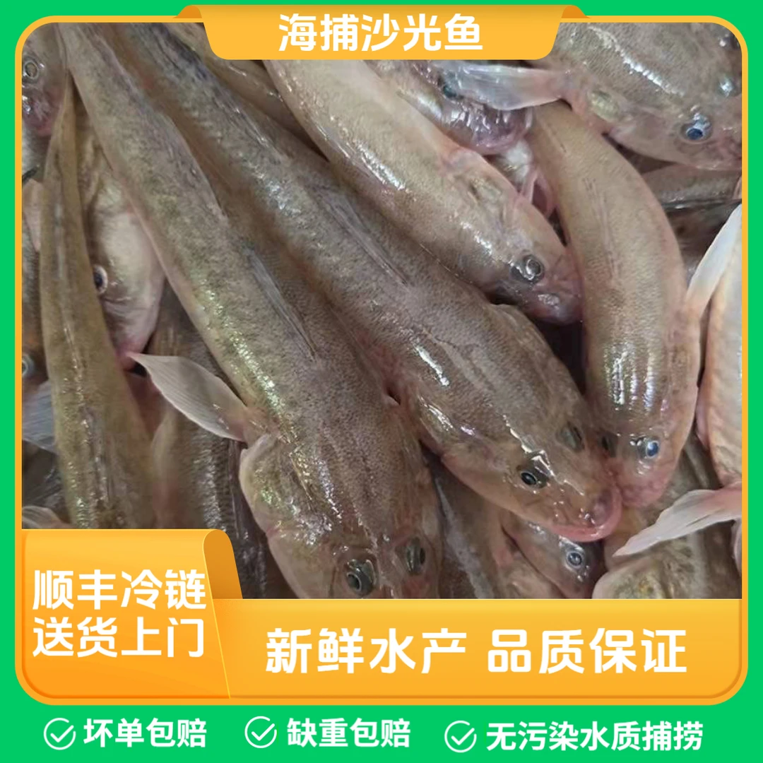 沙光鱼（泥鱼）3斤/5斤（一斤二十条左右）连云港速冻发货