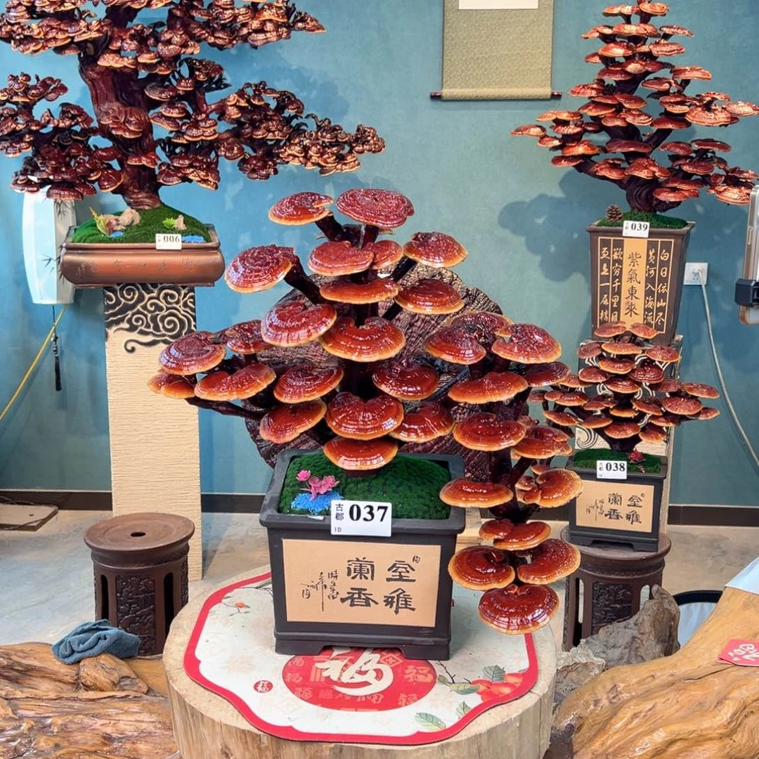 筠***巴无花朵868888888889