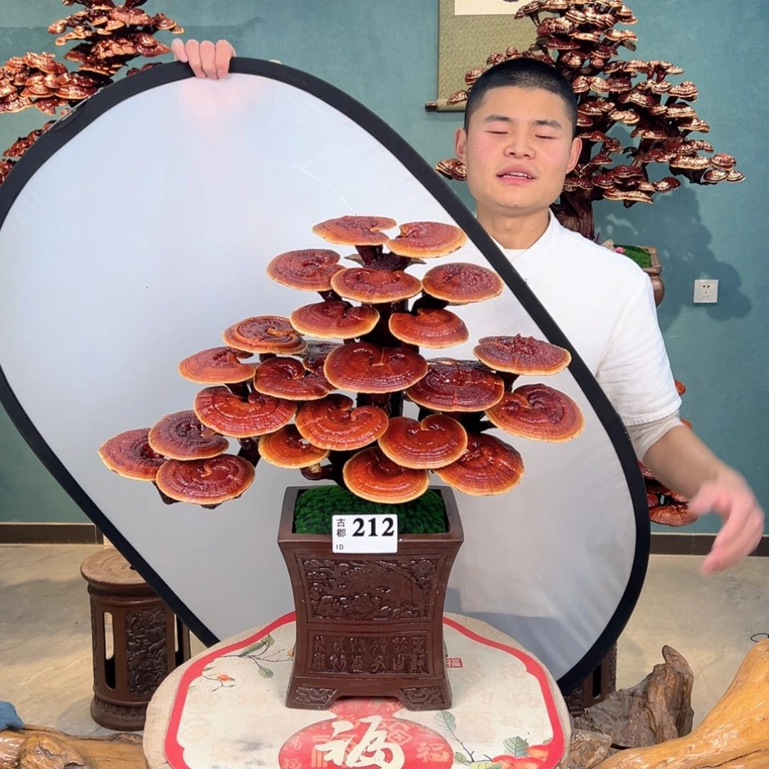 无花朵888888888880