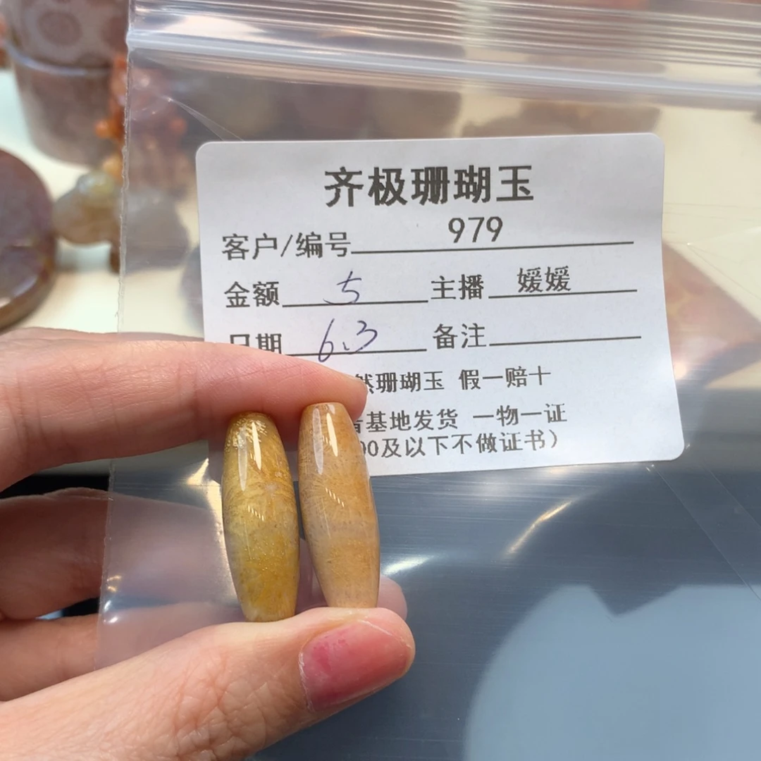 硅化珊瑚（珊瑚玉）未镶嵌颈饰*️**