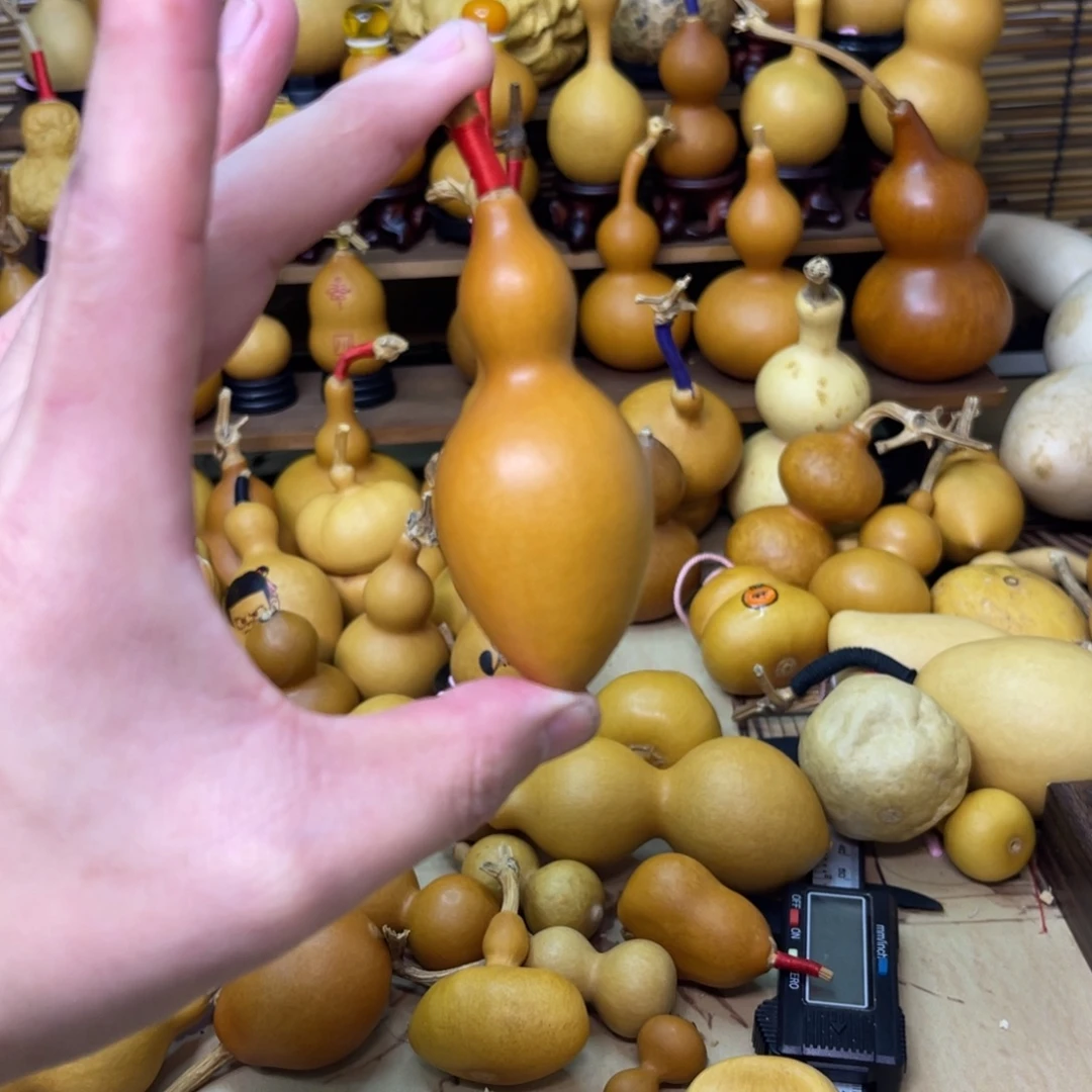 精品小蚂蚁厚皮响籽6