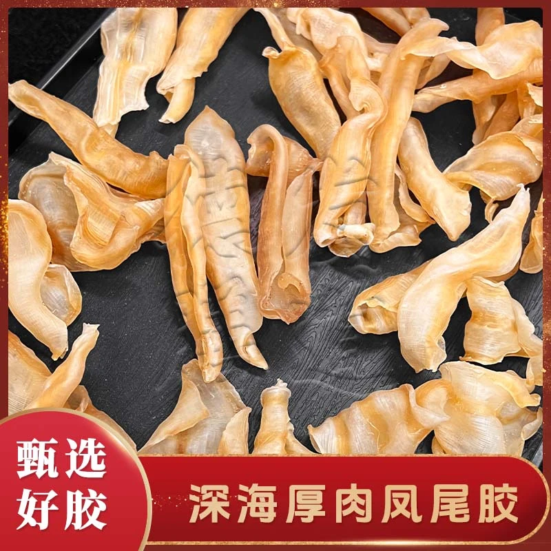 【直播专享】100-100头凤尾胶天然晾晒足干货营养滋补胶质厚实胶质