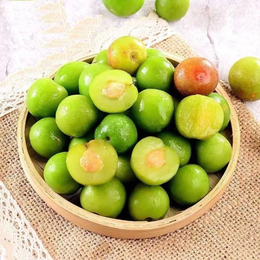 钱排三月李酸脆爽口新鲜采摘自家果园孕妇现摘现发