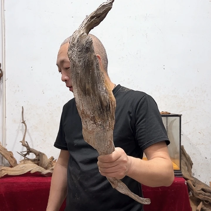 柏木柏*我们的生活是以自己为