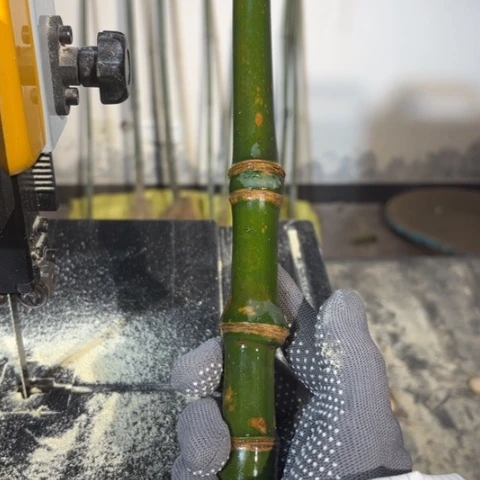 竹老****园实心竹竹竹竹竹竹竹竹竹