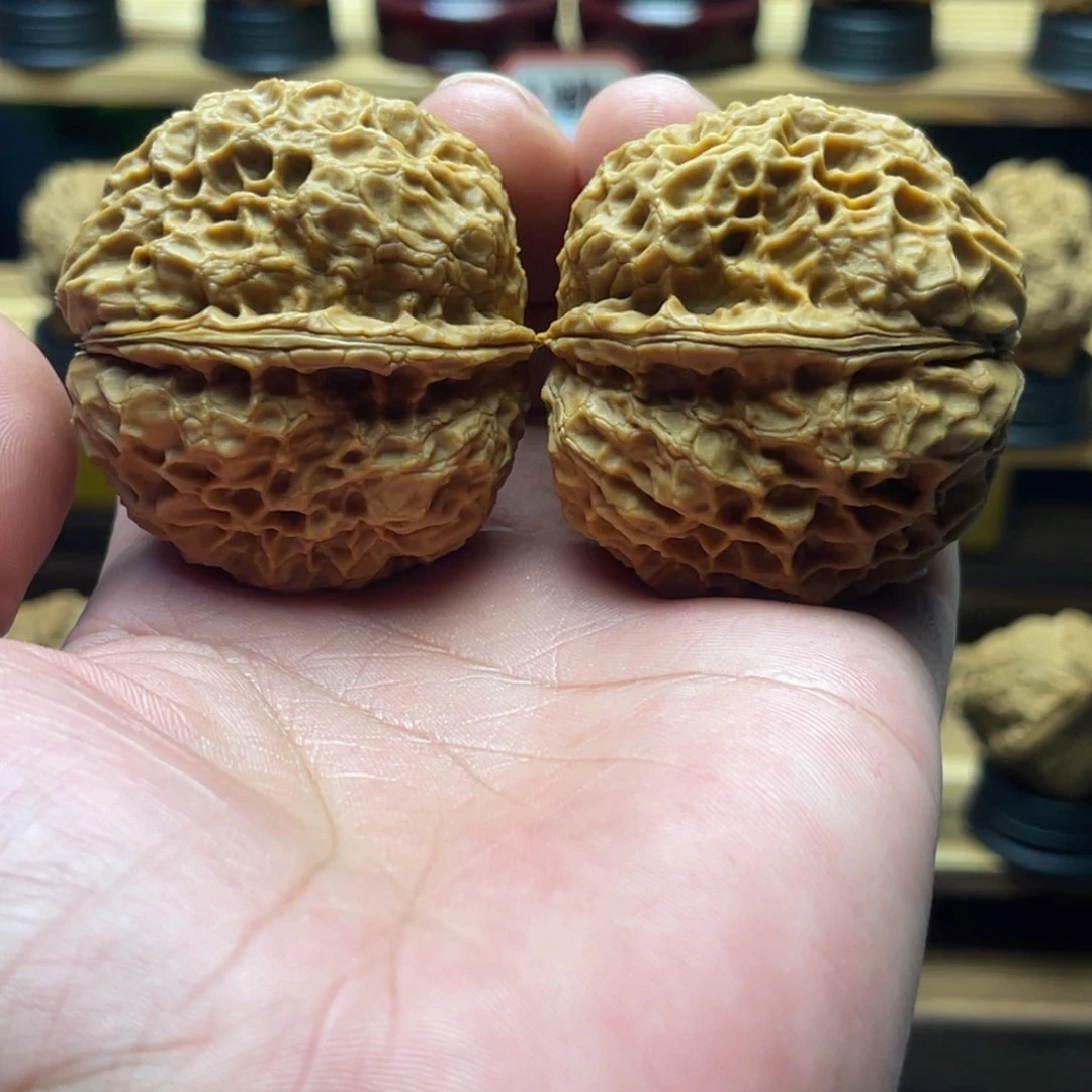 核桃47mm芭蕉扇 一物一图