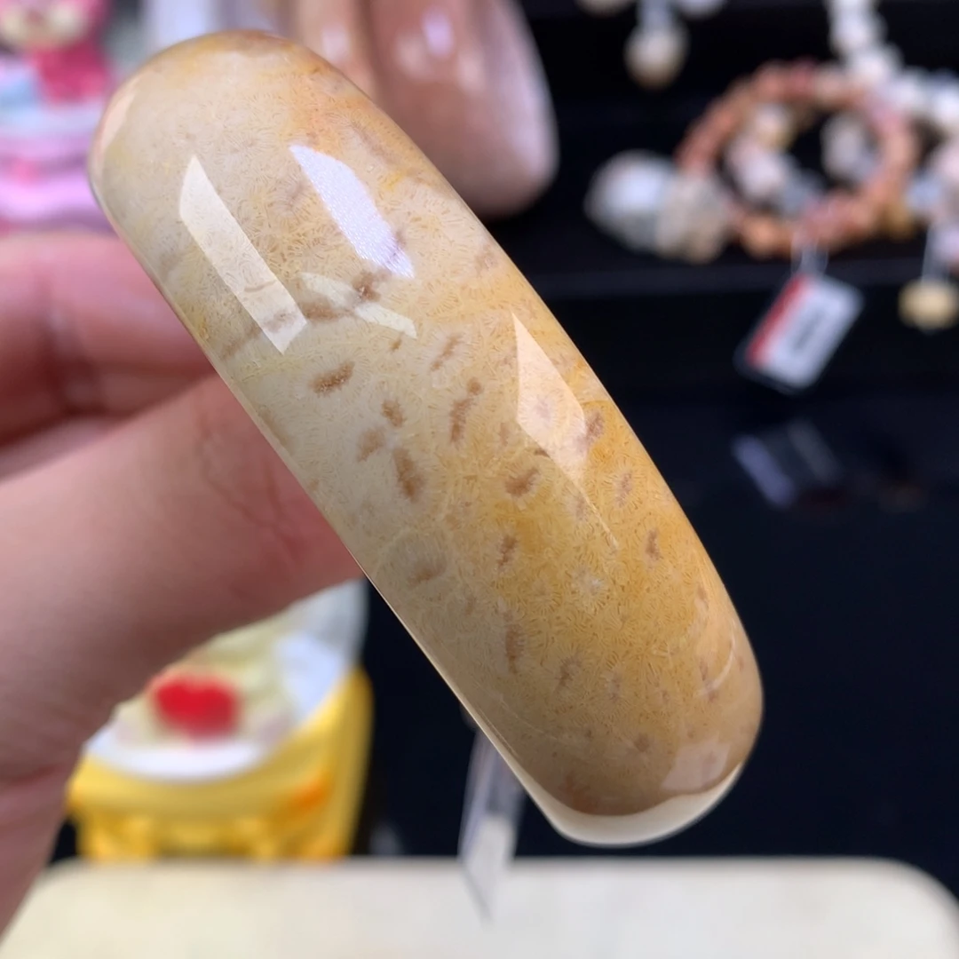 硅化珊瑚（珊瑚玉）未镶嵌颈饰52号共生胖虫56.9圈