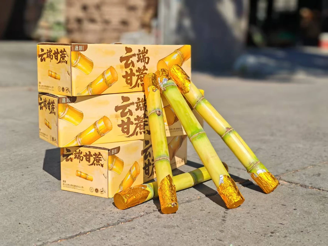 源心云端甘蔗现砍现发应季新鲜清甜多汁顺丰/JD直发