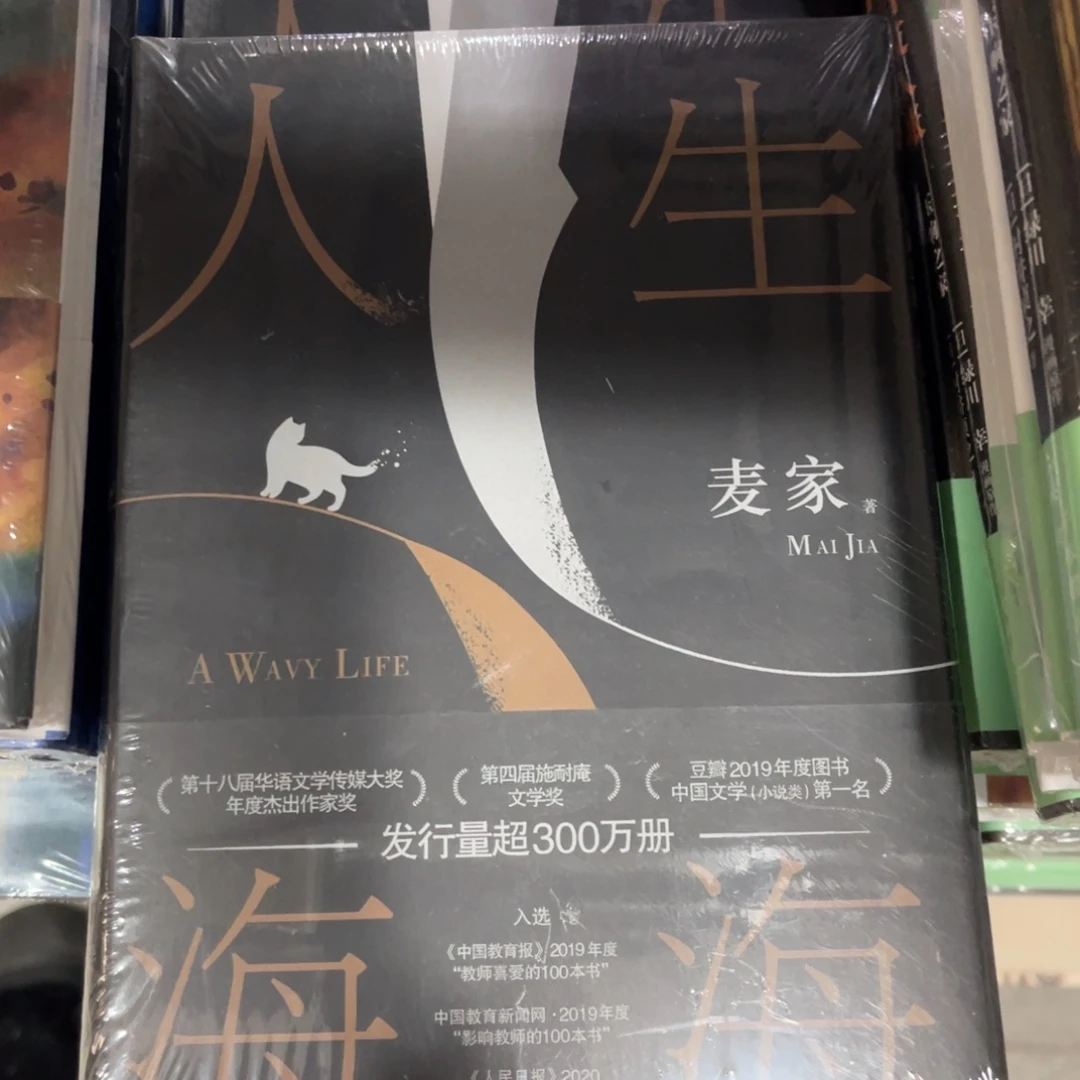 人生海海精装一个