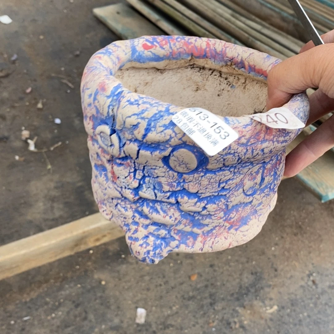 桐**洲153号多肉盆一个呀