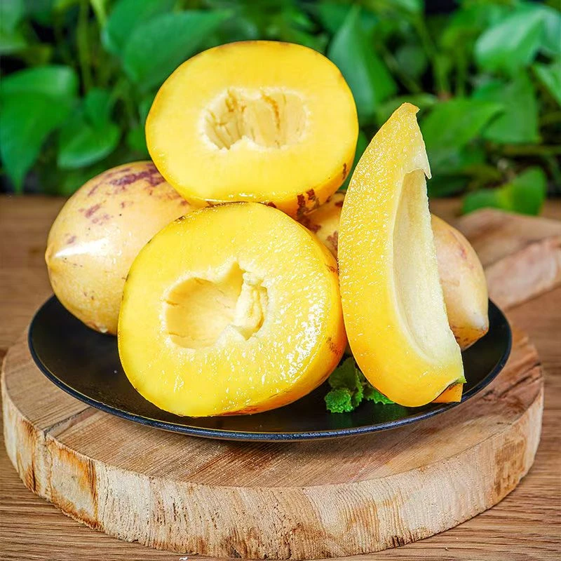 【顺丰】甘肃民勤沙漠人参果带箱5斤单果150g+约8-15个 MM