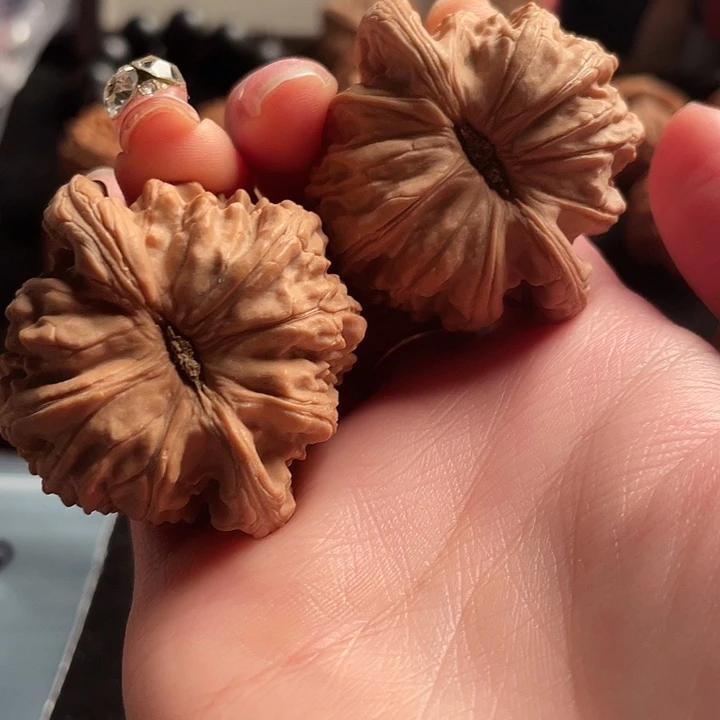 大叶紫檀（黑酸枝木类）