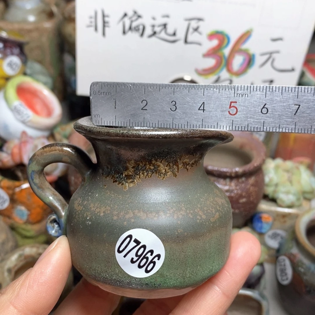 花盆拍5送一个小礼物