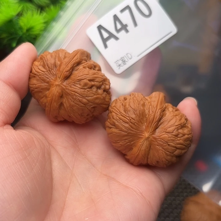 把件桃核核桃元宝40