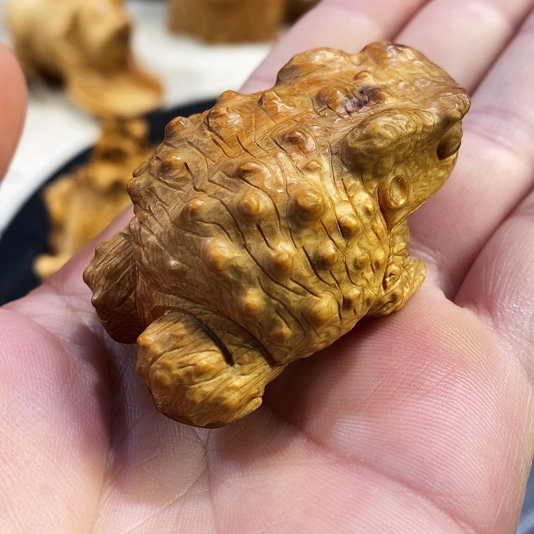 柏木（崖柏）崖柏柏木