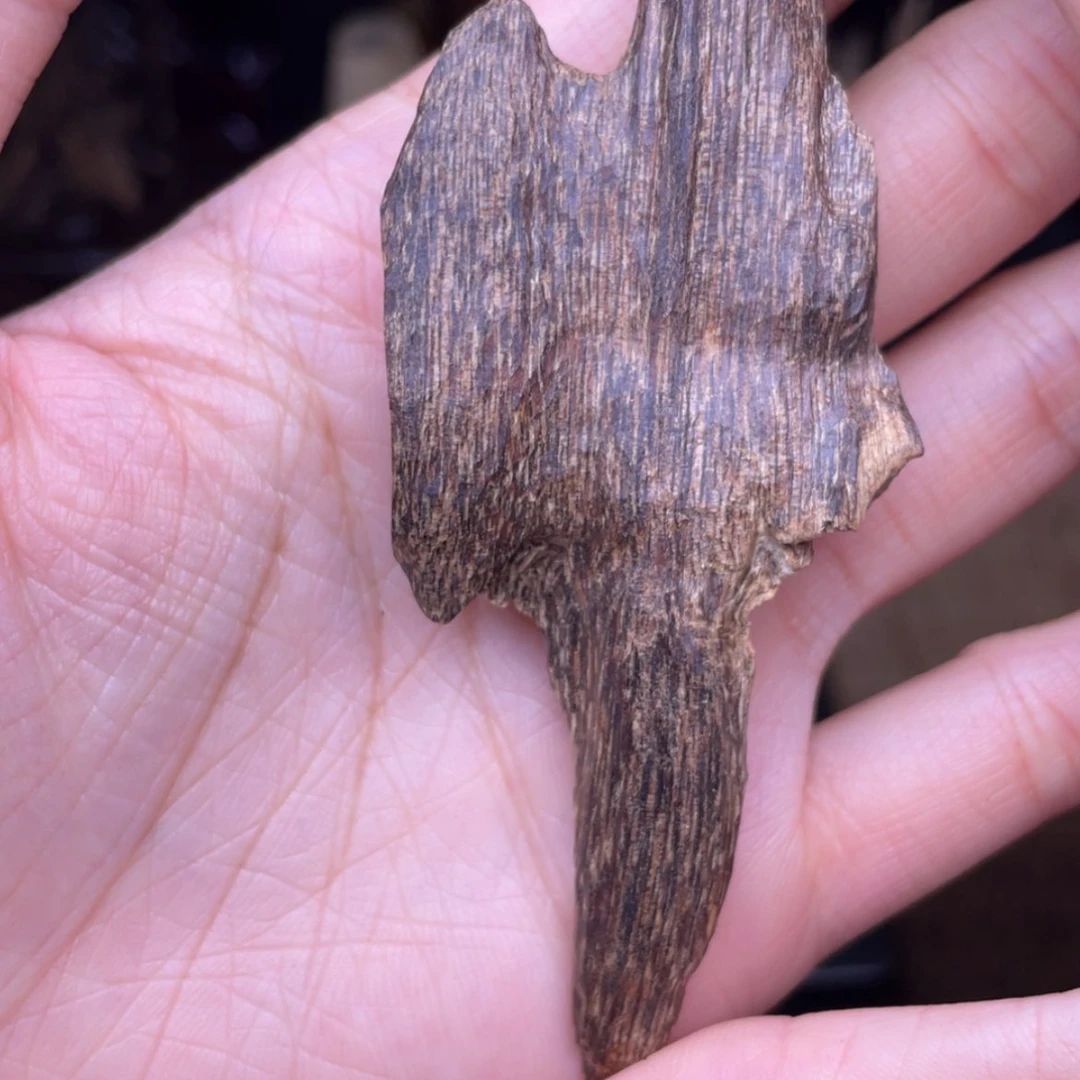 【闪购商品】香榧木海南尖峰岭树心3.4克