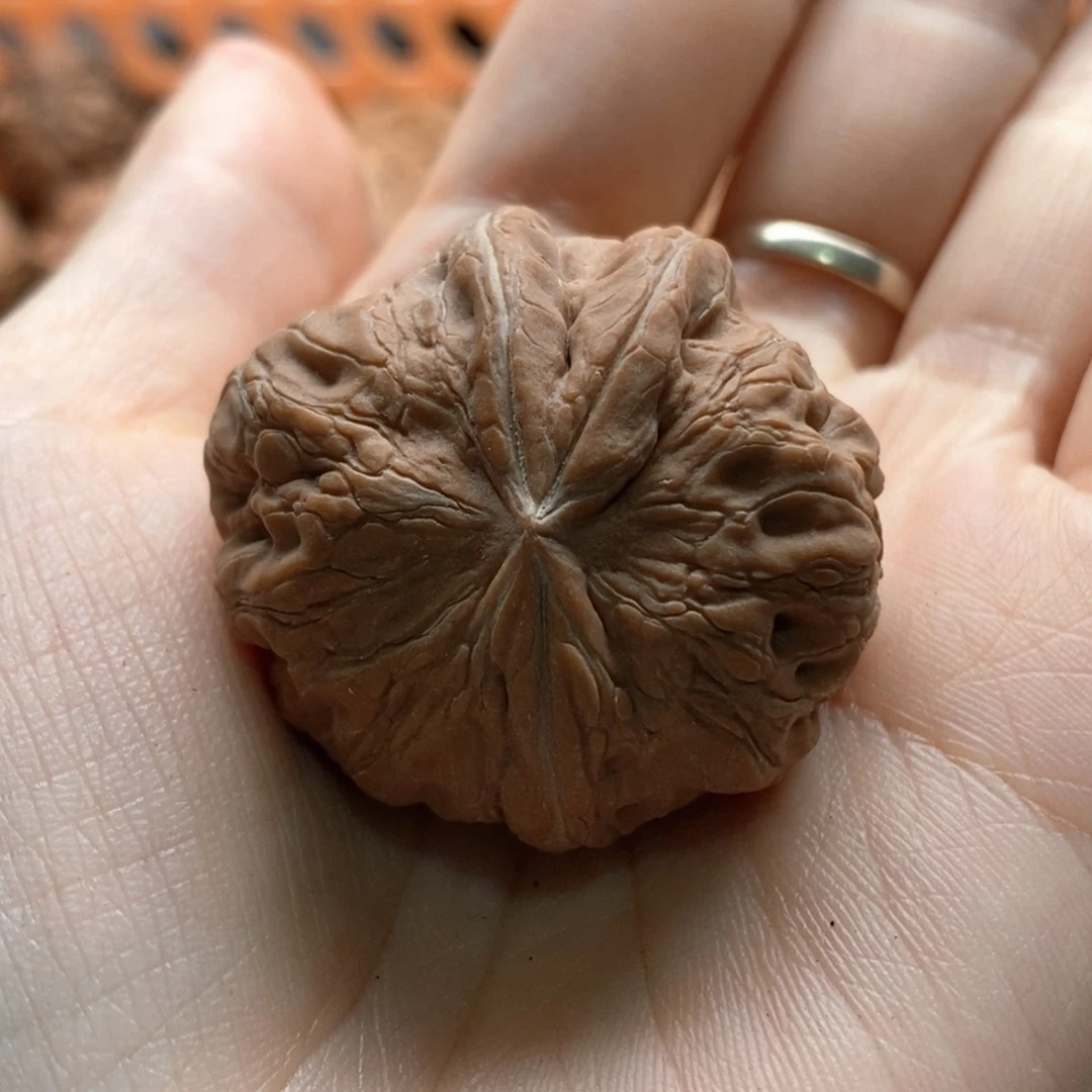 o***哥核桃定制商品不退不换