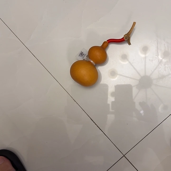大***馆小八宝小八宝小八宝小八宝