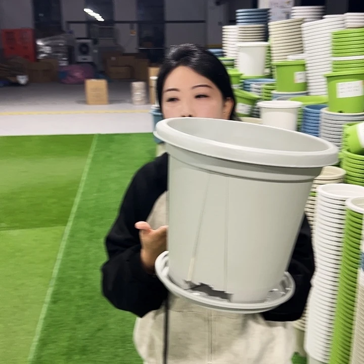 清仓青山口32高28灰白5只带托