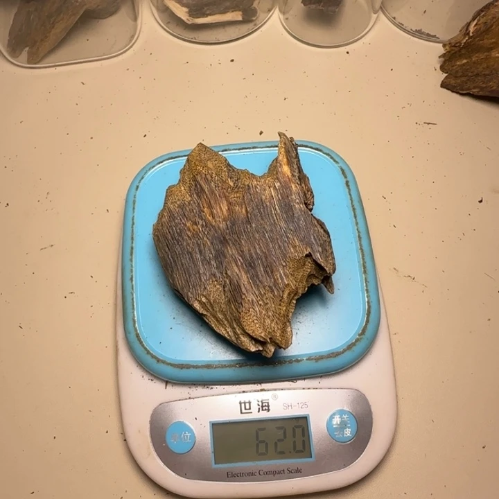H***O树脂制品原母树锯口老料61克