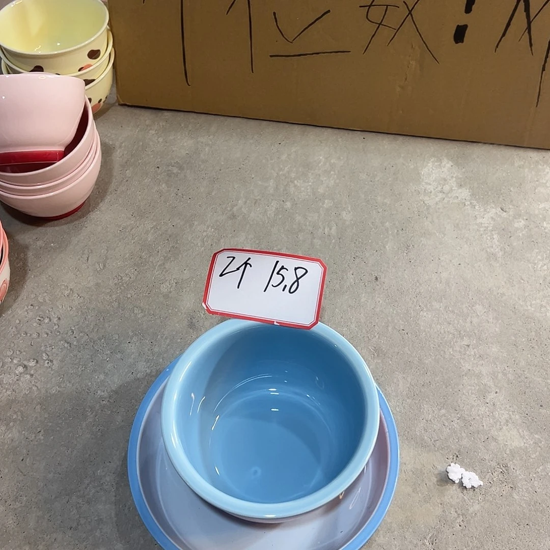 瓷米其林8寸蓝盘➕6寸粉碗