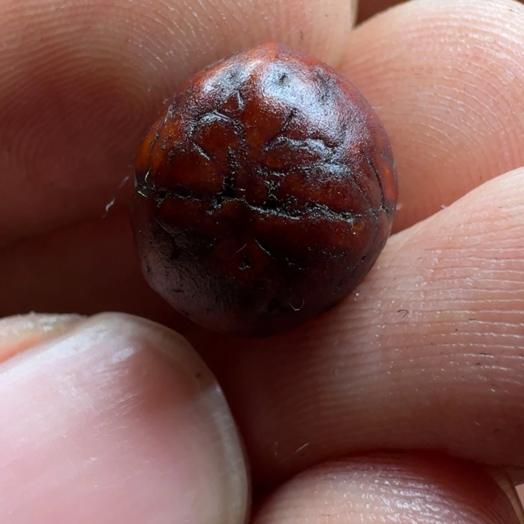 倾***绝泥塑藏传泥塑小元素