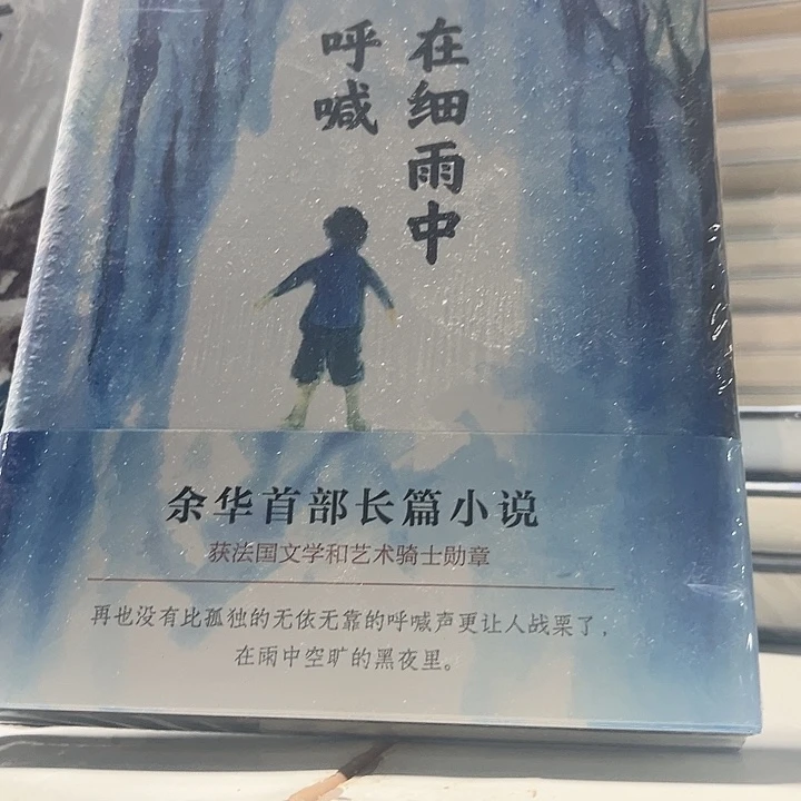 在细雨中呼喊全新