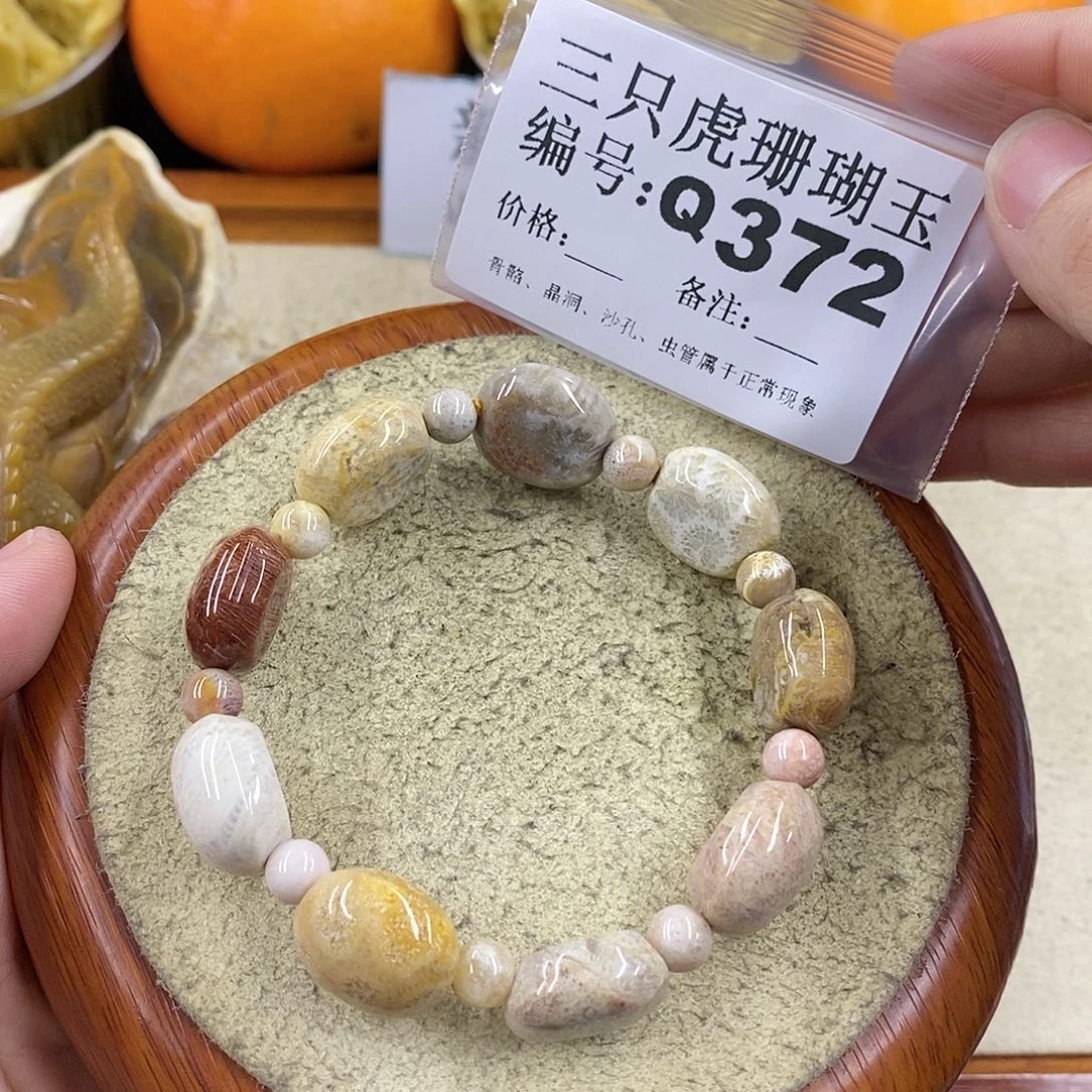 硅化珊瑚（珊瑚玉）1未镶嵌