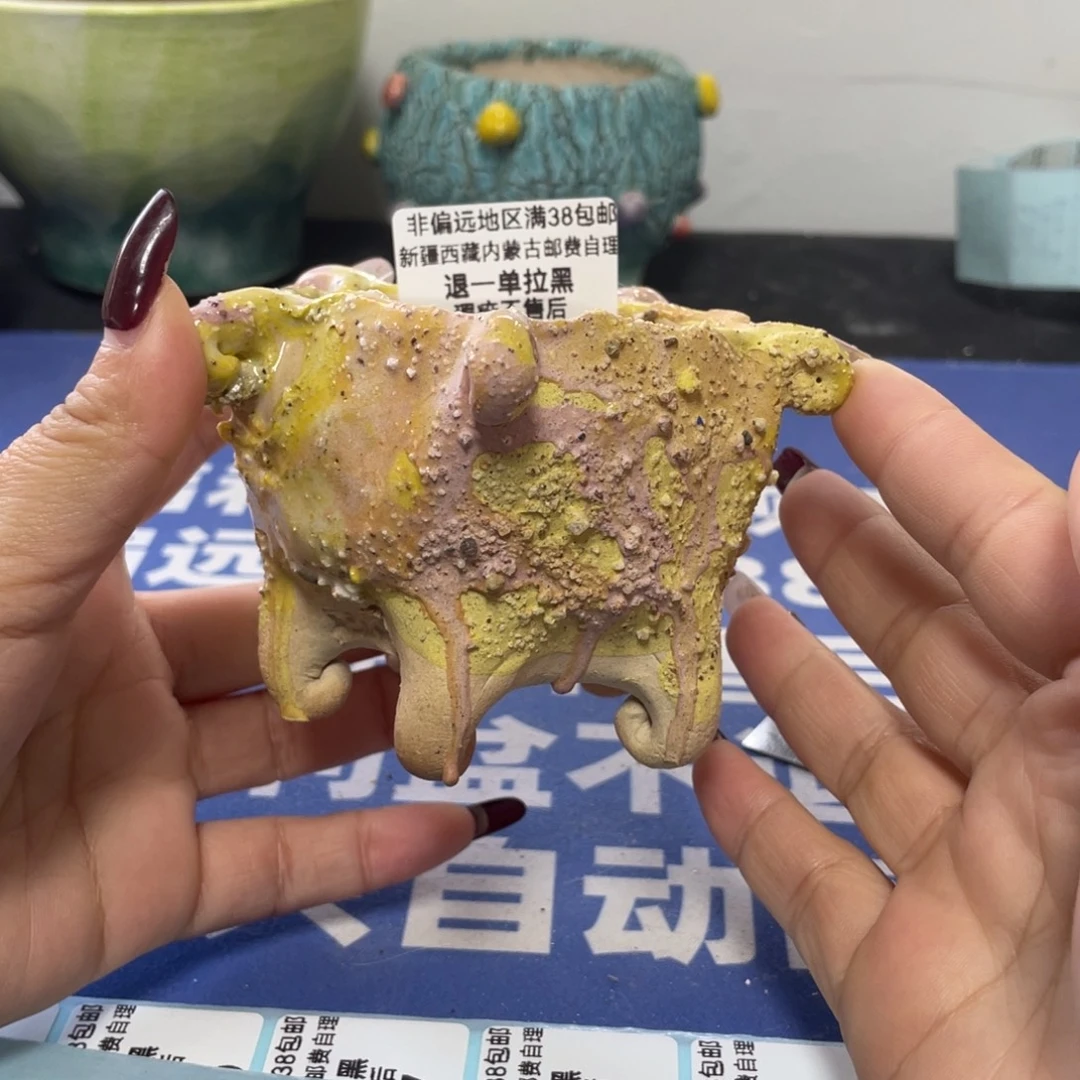 特价微瑕疵不退不换哦119