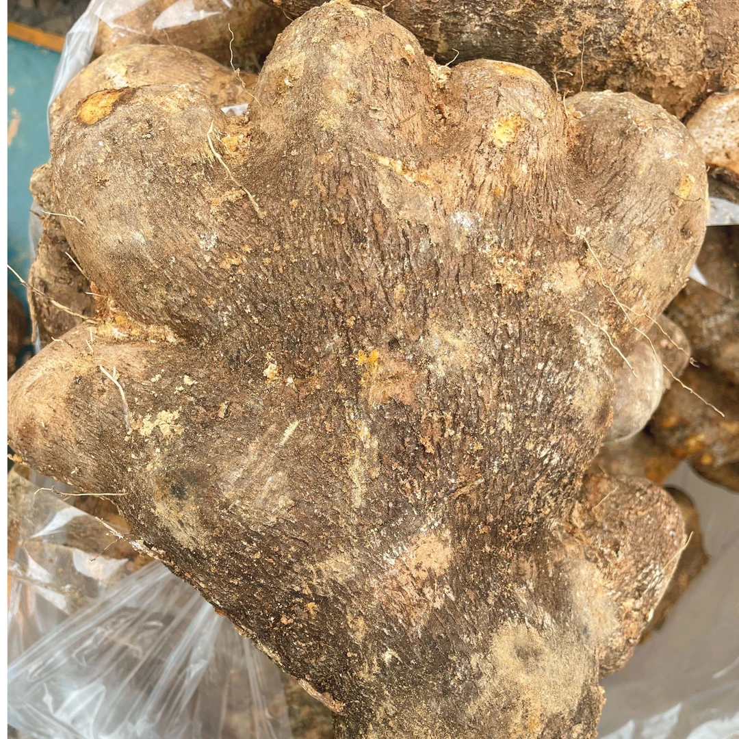 云南高山农家自种山药新鲜现挖现发 软糯香甜