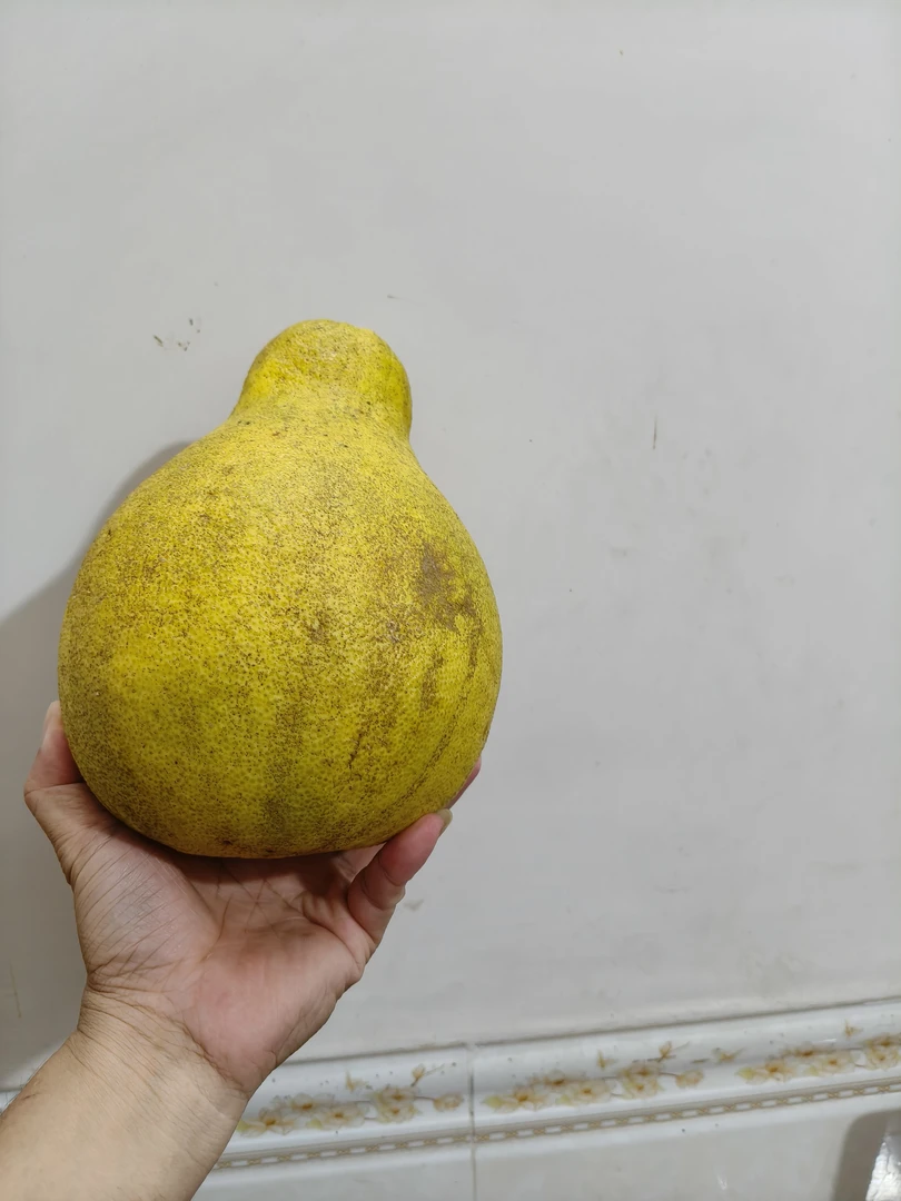 正宗梅州沙田柚花皮纯天然果（30斤）