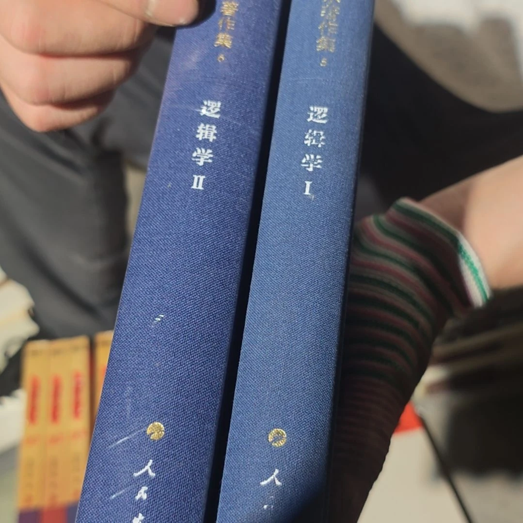黑格尔两本一套逻辑学