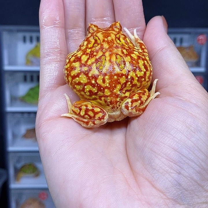 特价秒杀现货特价
